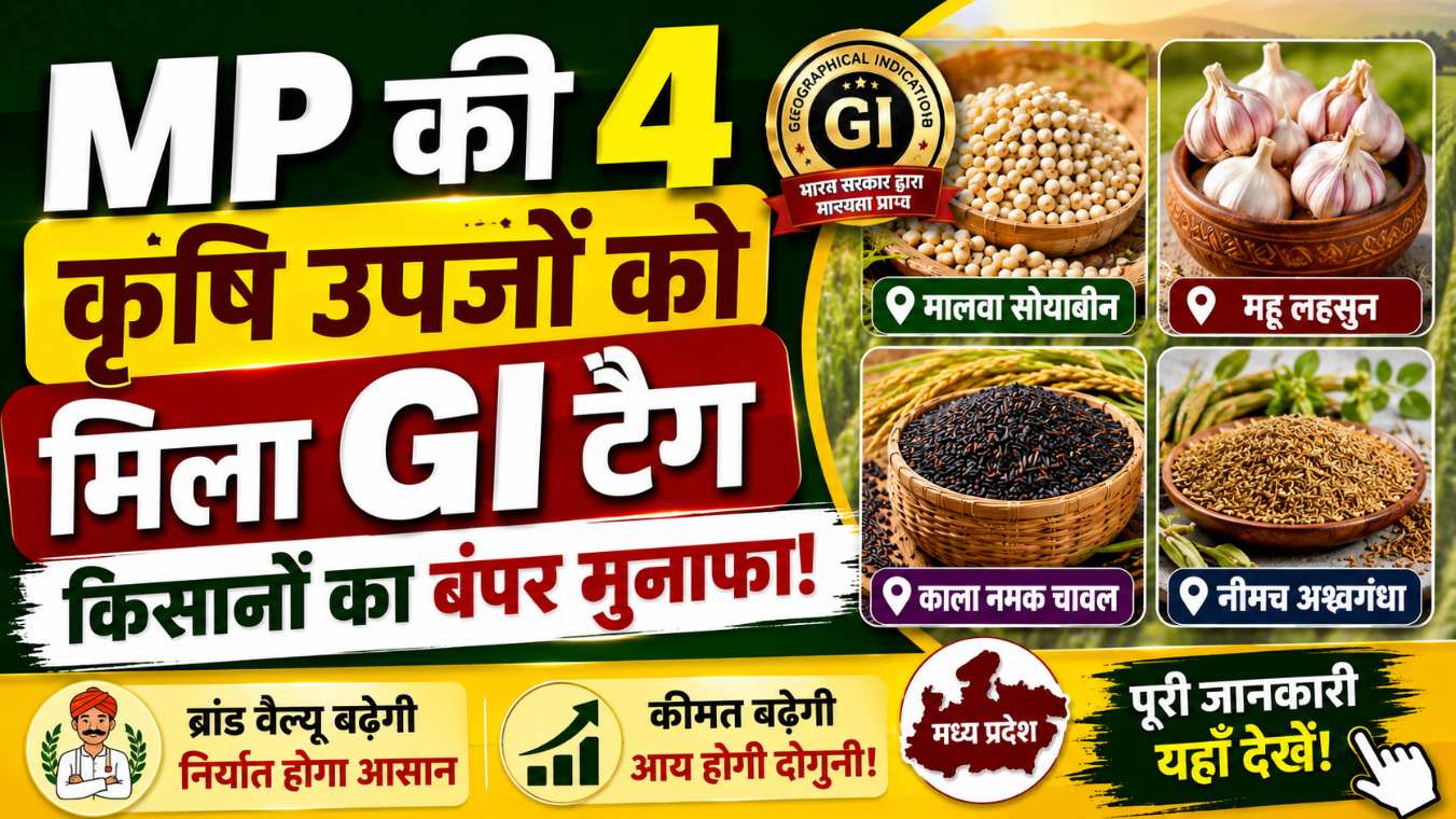 MP 4 Krishi Upaj GI Tag 2026 Sitahi Kutki Nagdaman Baigani Arhar Chhatriya Dhan